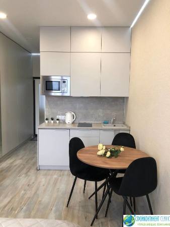 Студия Комфорт с балконом и видом на парк Дендрарий Метрополь (48)